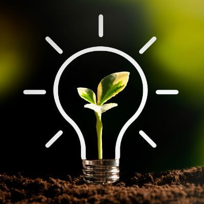 Aus der Erde sprießende Pflanze, symbolisiert nachhaltige Investmentlösungen.